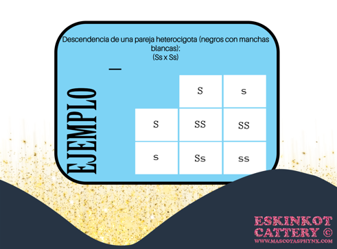 Cuadro Punnett